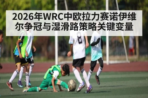 2026年WRC中欧拉力赛诺伊维尔争冠与湿滑路策略关键变量